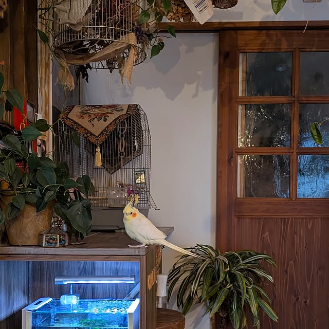 akiさんの部屋