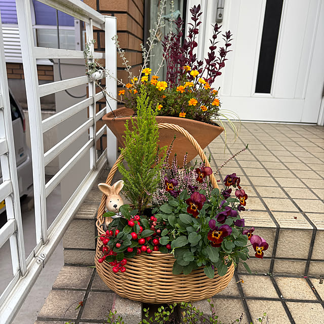 chIoeさんの部屋