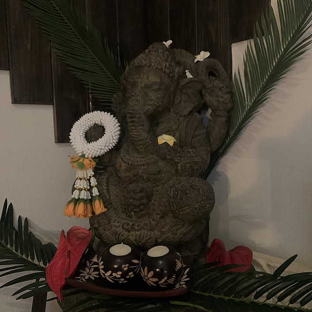 salaさんの実例写真