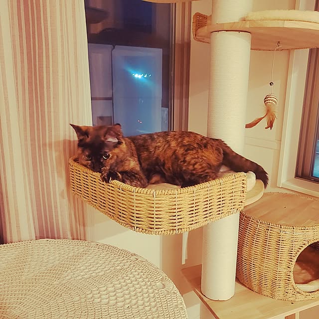 JIHYEさんの部屋