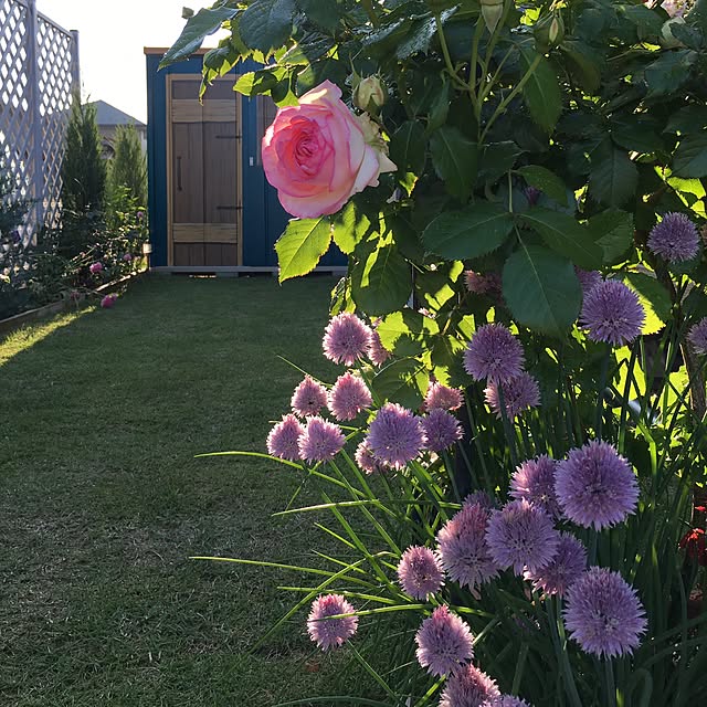 hirokoさんの実例写真