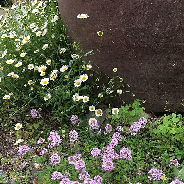 Ryokoさんの実例写真