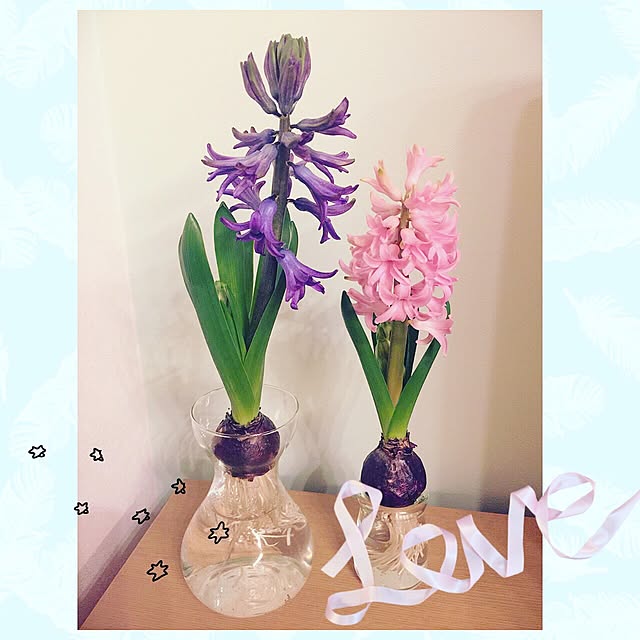 miu2525miuさんの実例写真