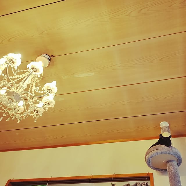 Tさんの実例写真