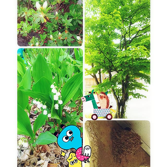 cherrycherryさんの実例写真
