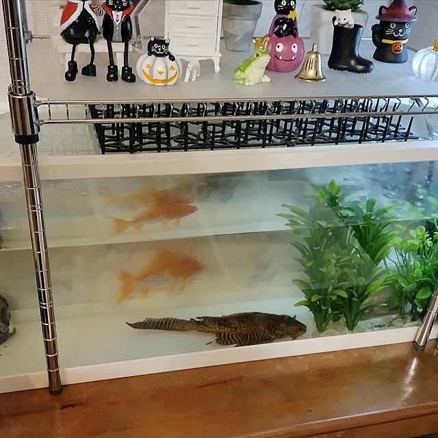Tさんの実例写真
