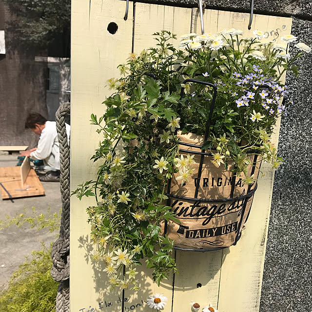 Makoさんの実例写真