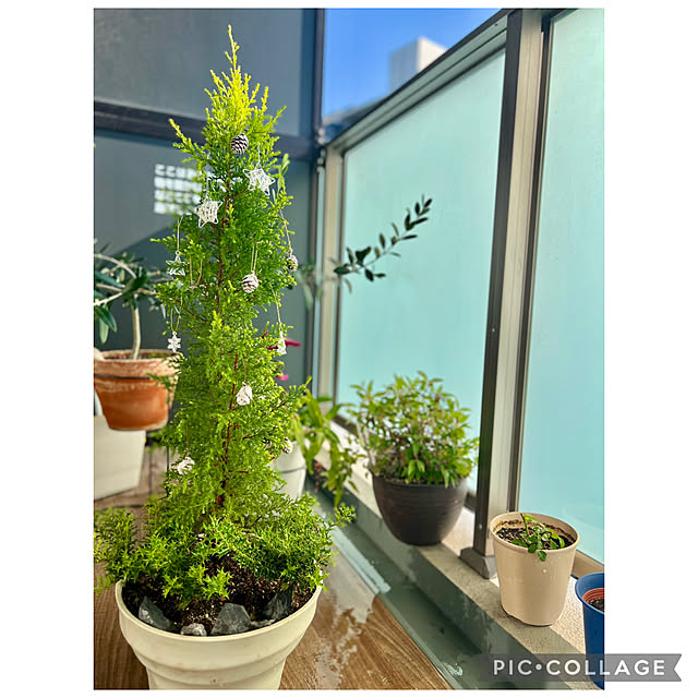 ponme33さんの実例写真