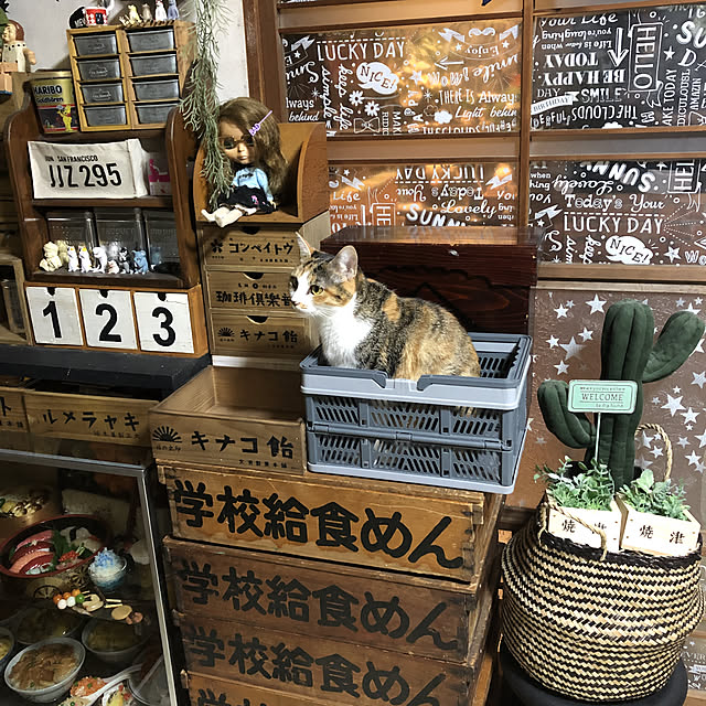 vivienne.coco-keiさんの実例写真