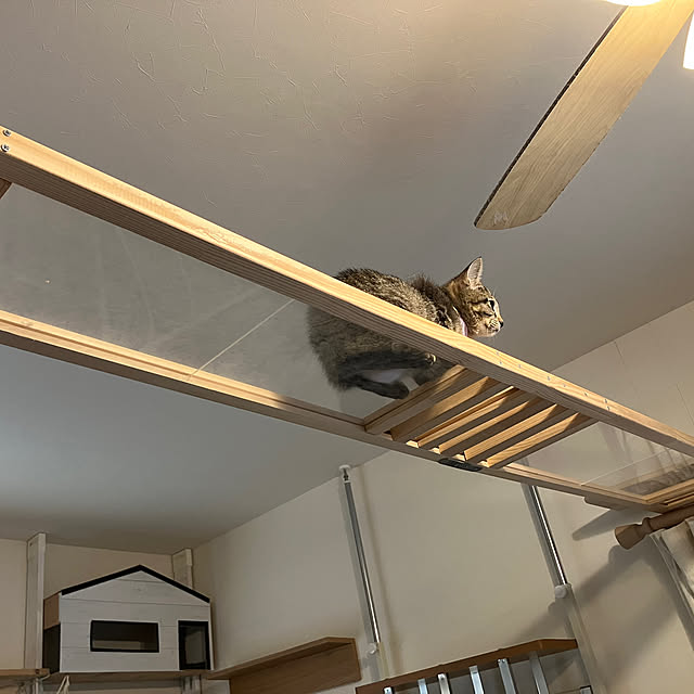 gin.chan-kayoさんの実例写真