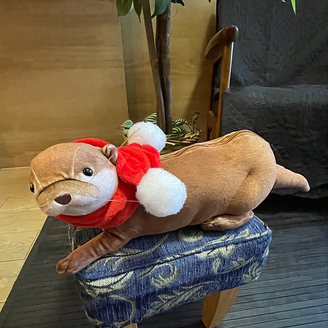 aureaさんの実例写真