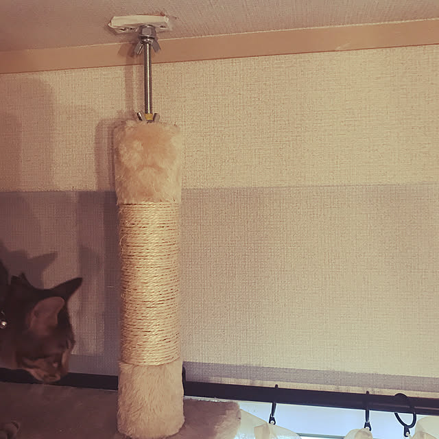 emikoさんの実例写真