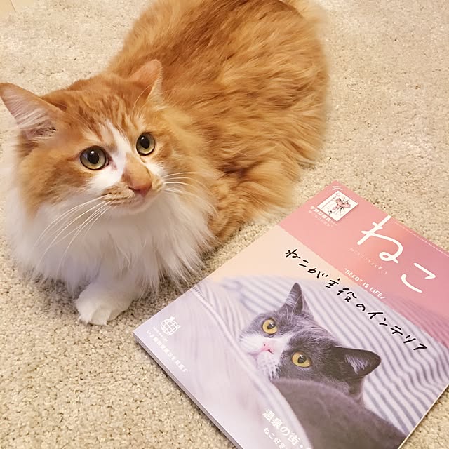 Reikoさんの実例写真