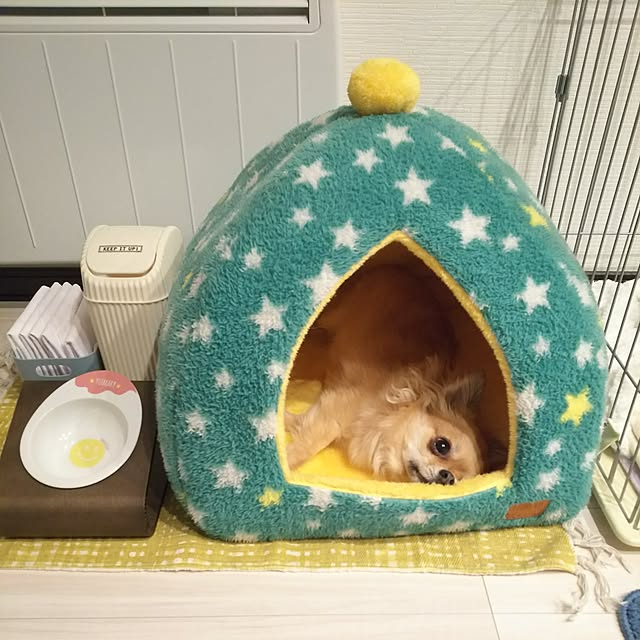 kojikojiさんの実例写真