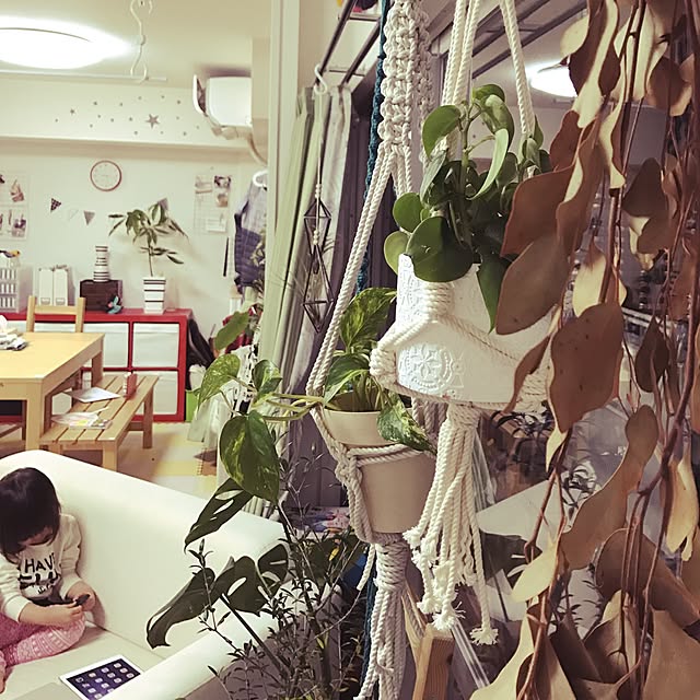 yuccoさんの実例写真