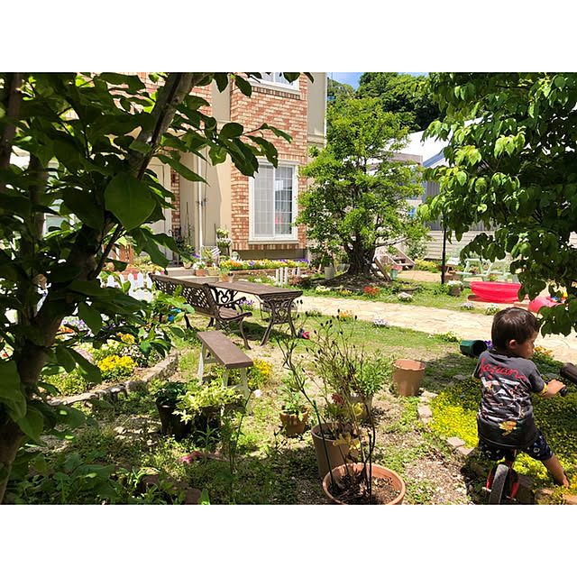 ponさんの実例写真