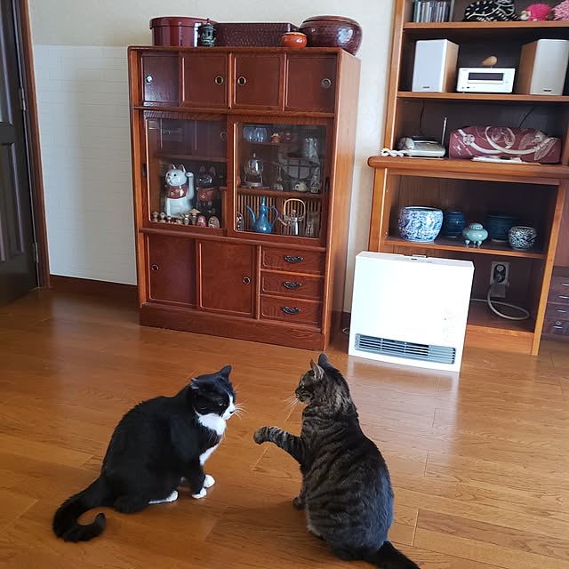 Mayumi8888さんの実例写真