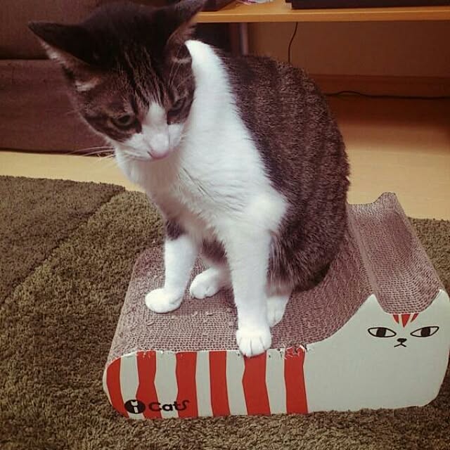 akubi_hiroさんの実例写真