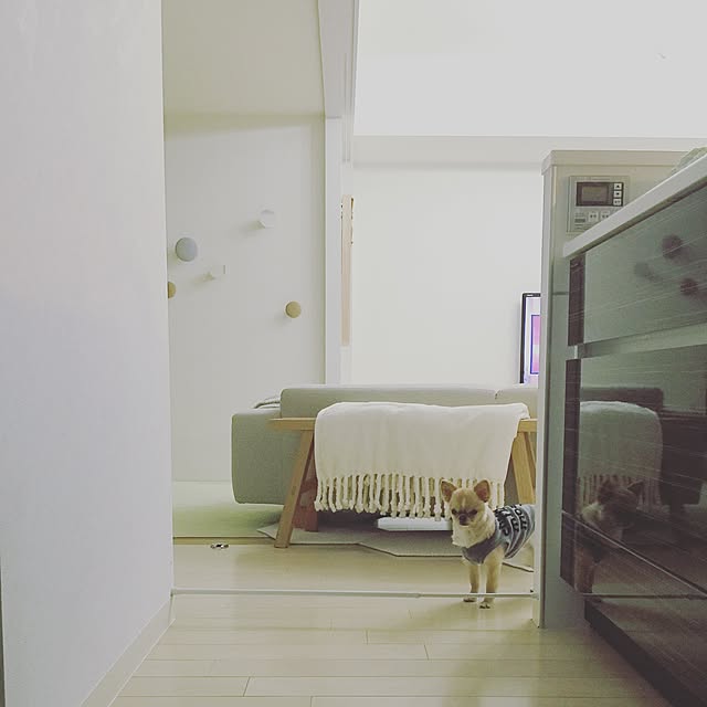 haruhinaさんの実例写真