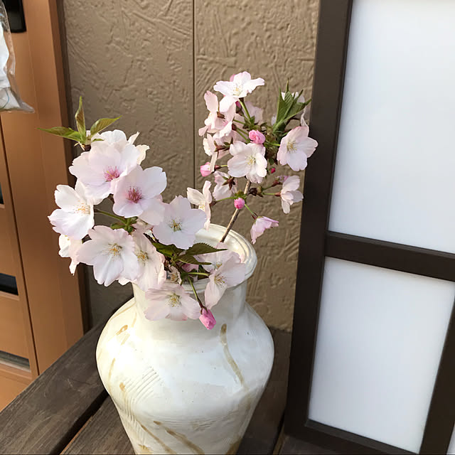sachaxさんの実例写真