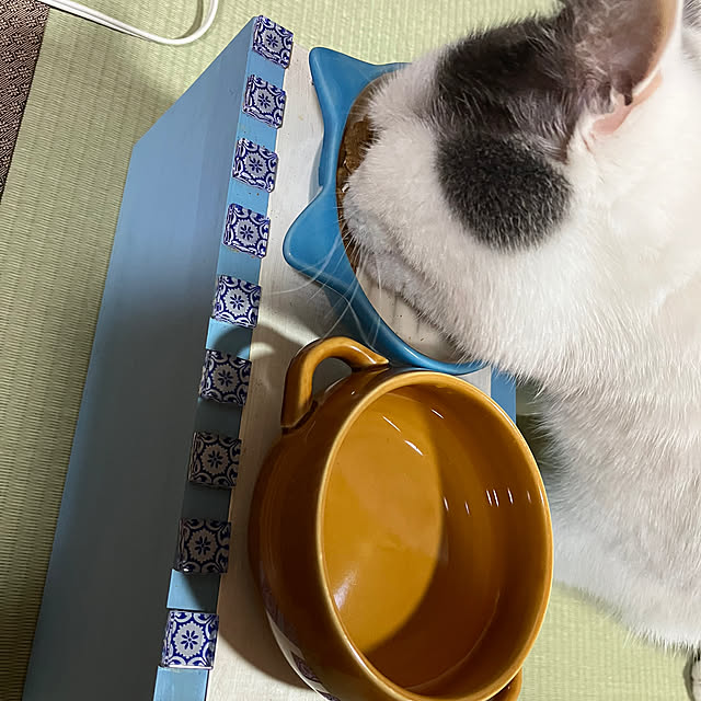 kiiroikumaさんの部屋