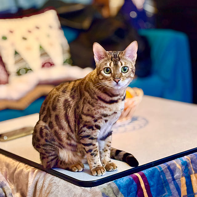 tututu0204さんの部屋