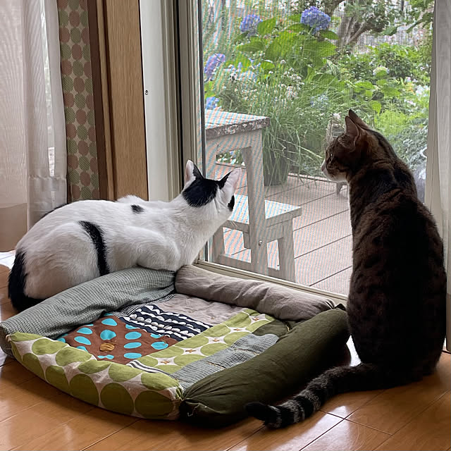 nobikoさんの部屋