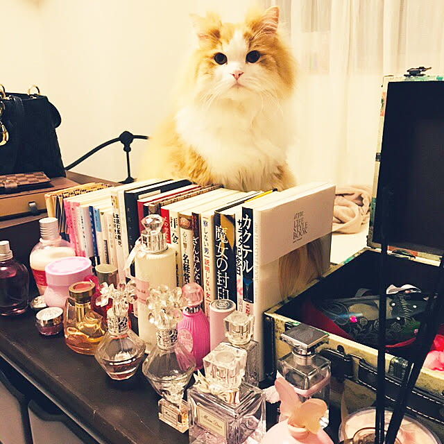 runrun.ronronさんの実例写真