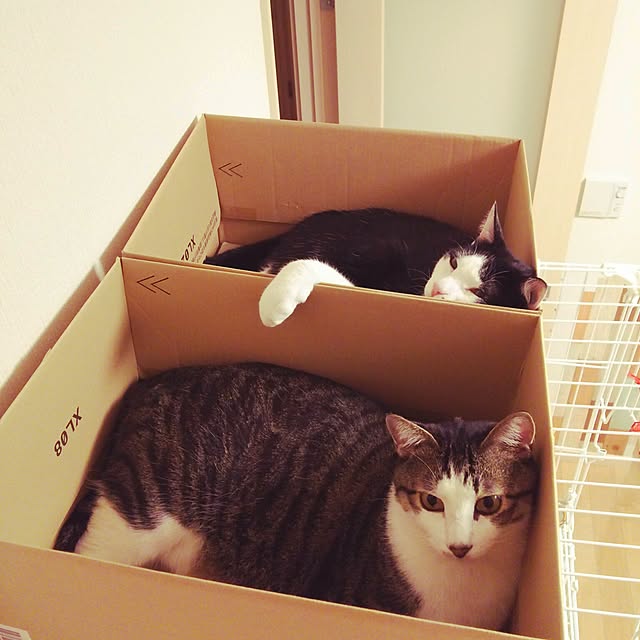 millsukeさんの実例写真