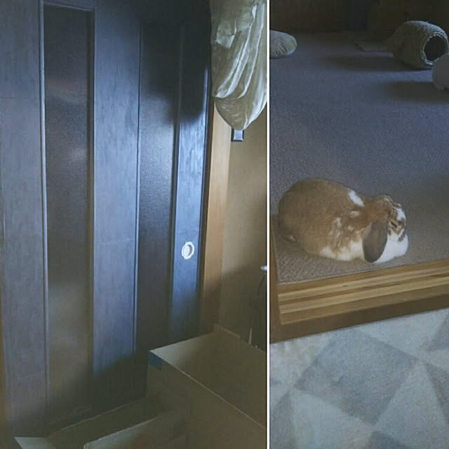 usamamaさんの実例写真