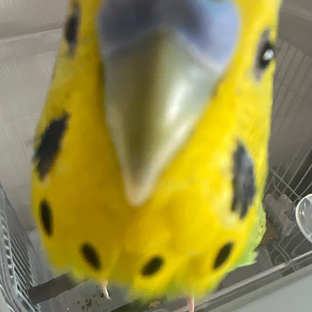 ohanaさんの部屋