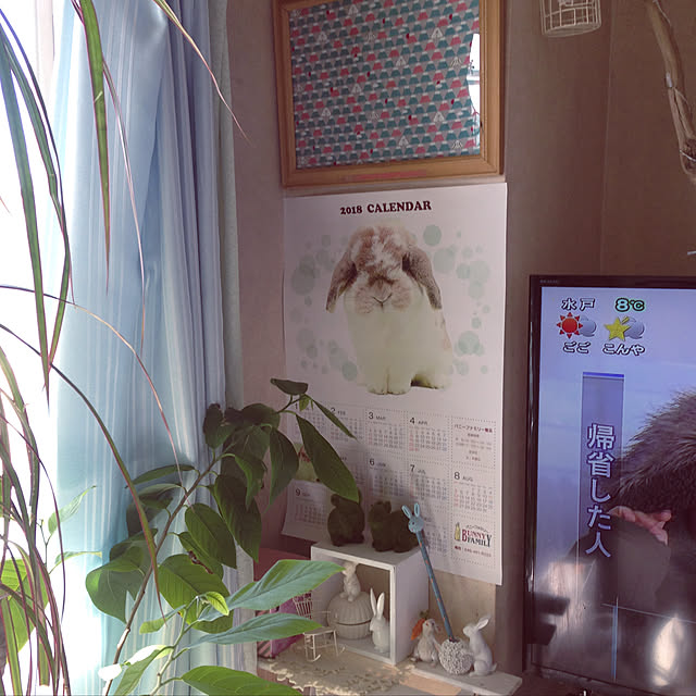 yokomokoさんの実例写真