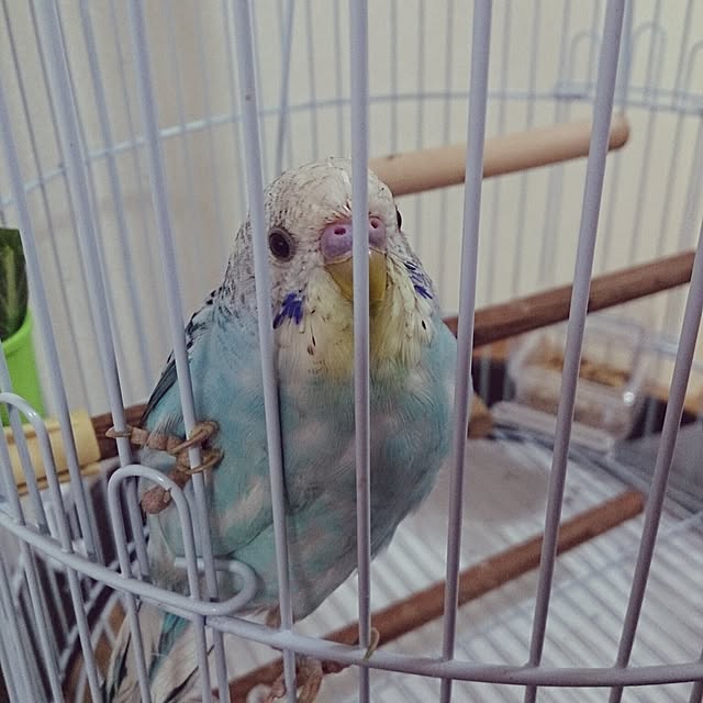 kenshuさんの実例写真