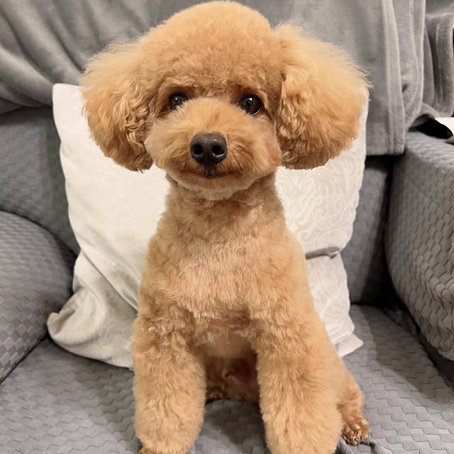 makiさんの実例写真