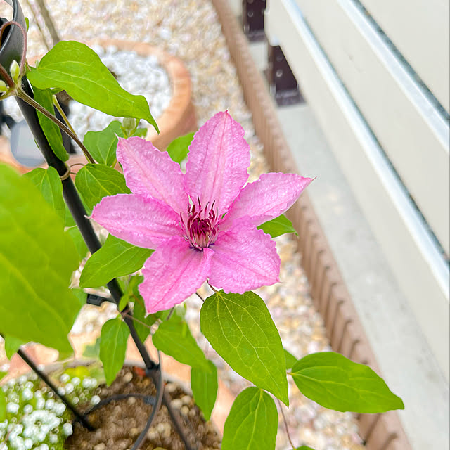 RAKI_Homeさんの実例写真