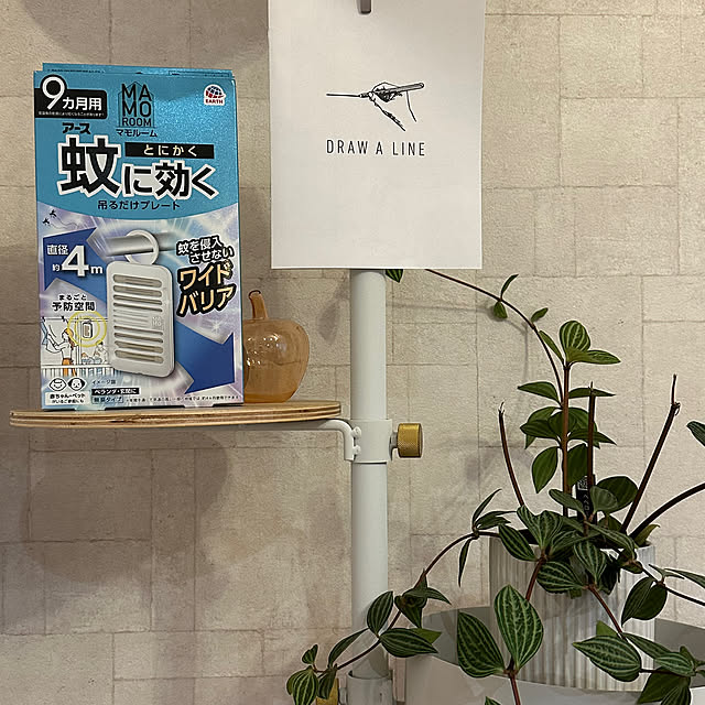 macaさんの実例写真