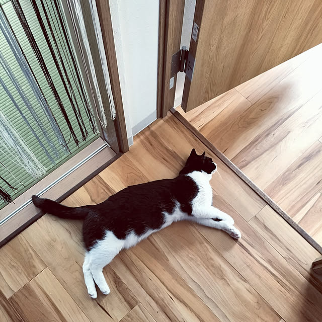 hihaさんの実例写真