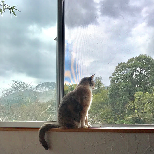 sakurasakuさんの実例写真