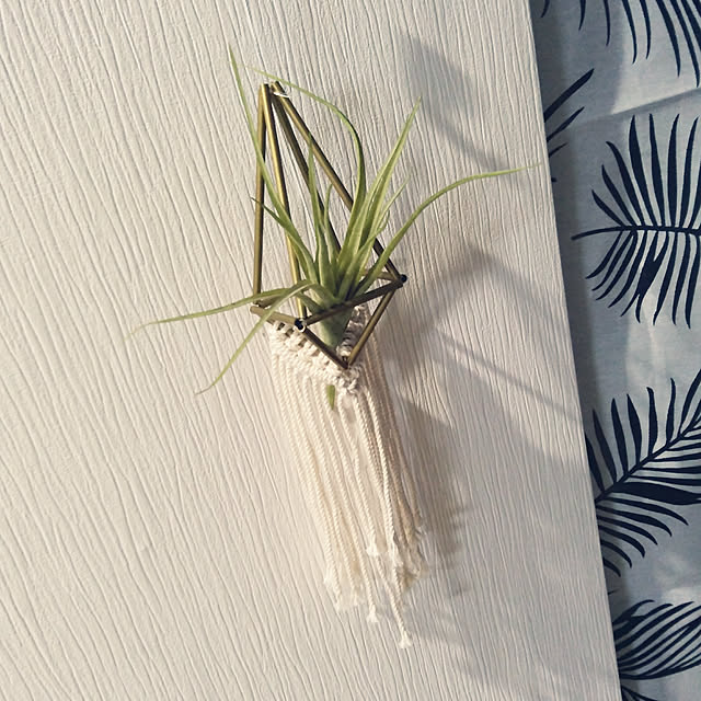 KitaEriさんの実例写真