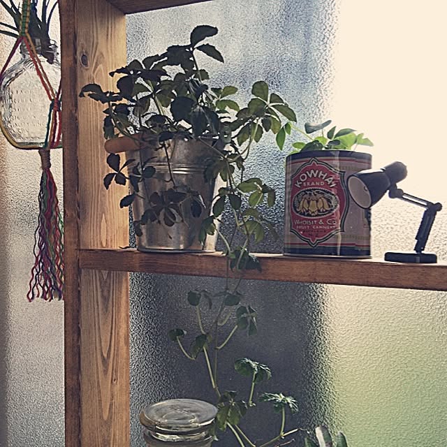 ryonさんの実例写真