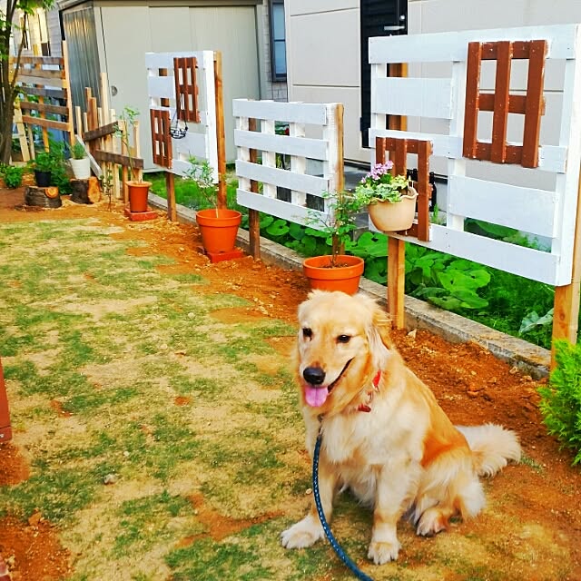 Toshiyukiさんの実例写真