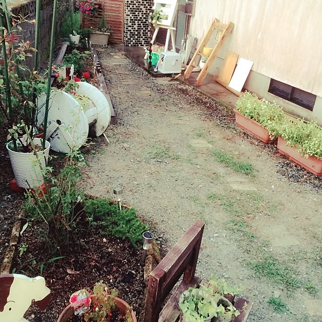 muwaさんの実例写真
