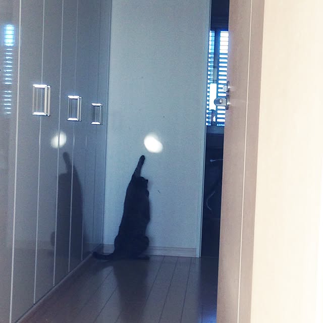 6さんの実例写真