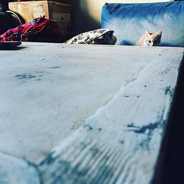 Naoki.さんの実例写真
