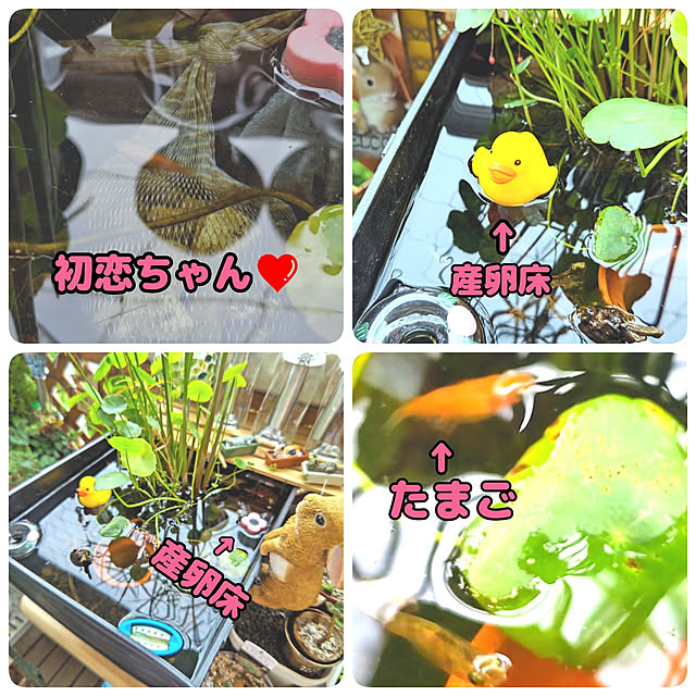mariaさんの実例写真