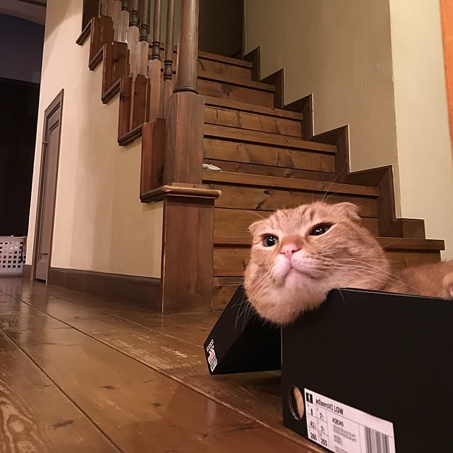 mojohandさんの実例写真