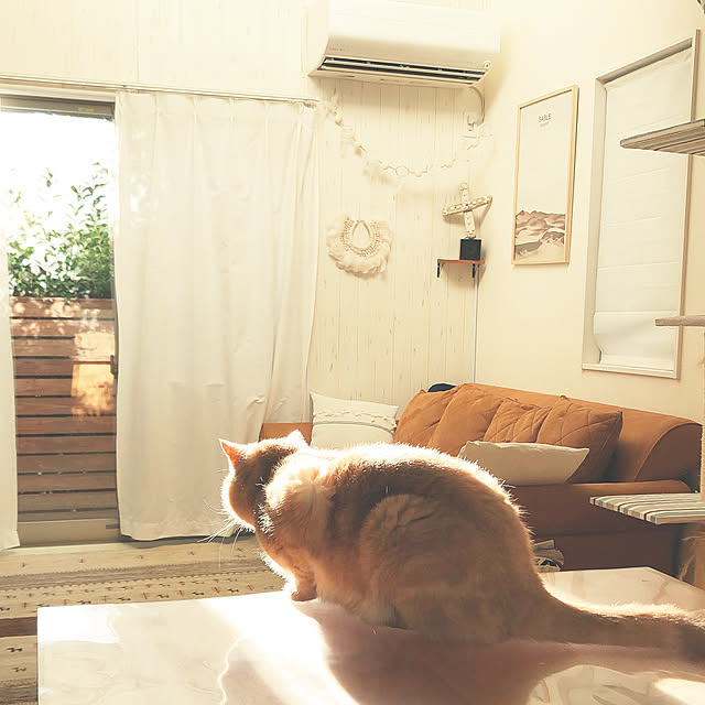 cocoさんの実例写真