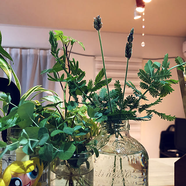 キッチン/建売住宅/観葉植物のある暮らし/花のある暮らしのインテリア実例 - 2018-06-14 23:32:42
