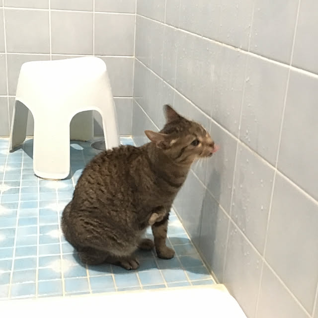 room7385さんの実例写真
