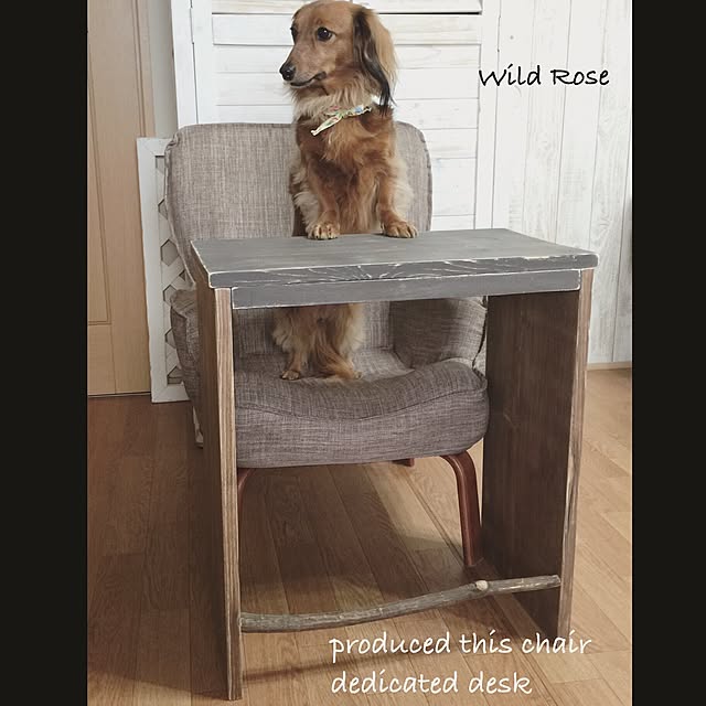 WildRoseさんの実例写真